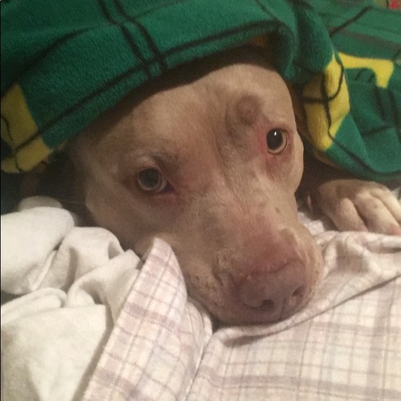 Meet your Posher, Rebecca - Picture 1 of 1